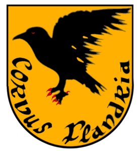 corvus flandria