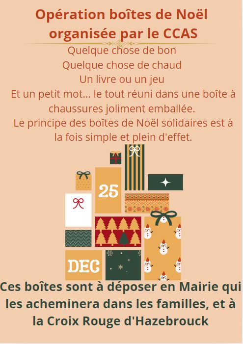 boîtes de noël